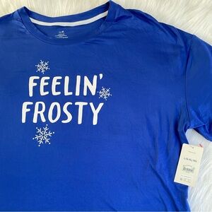Secret Treasures “Feelin’ Frosty” Winter Pajamas Womens Size L/XL Blue Nightgown